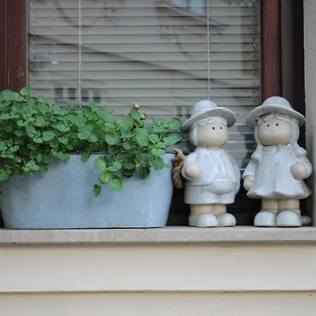 Guest house Ana Generoes 3*