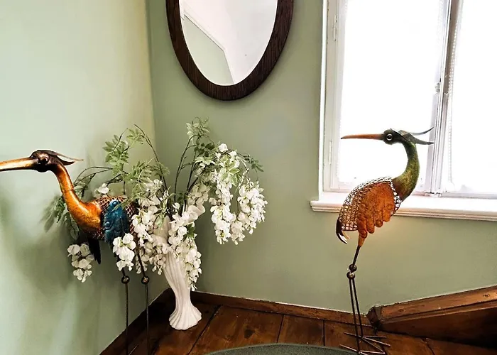 Pensionat Ana Generoes 3*